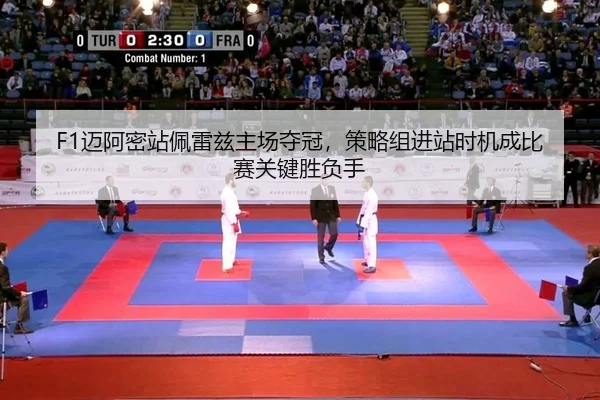 mai-a-mi-zhan-pei-lei-zi-zhu-chang-duo-guan-ce-lve-zu-jin-zhan-shi-ji-cheng-bi-sai-guan-jian-sheng-fu-shou-2-123.jpg